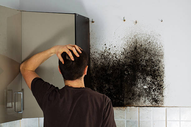 Best Residential Mold Removal  in Tioga, TX