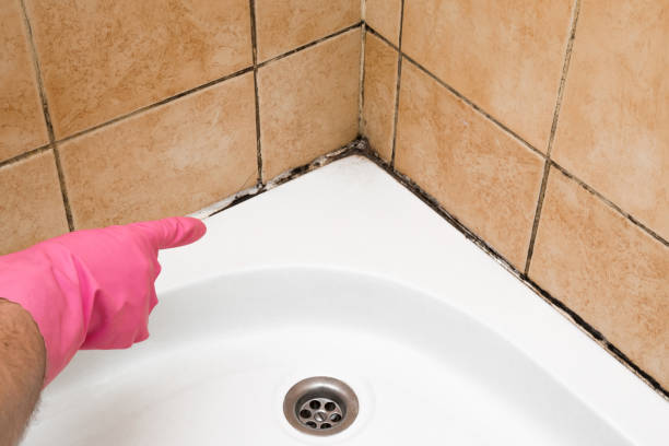 Best Mold Cleaning Services  in Tioga, TX